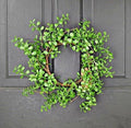 Evergreen Boxwood Wreath 14in