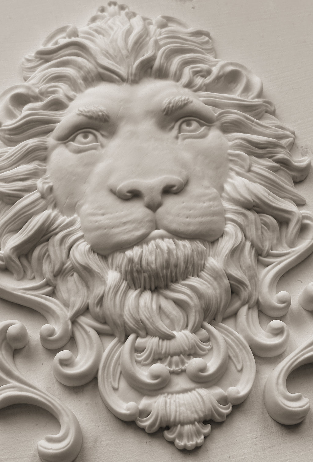 Leonidas 5x7 IOD Mould™