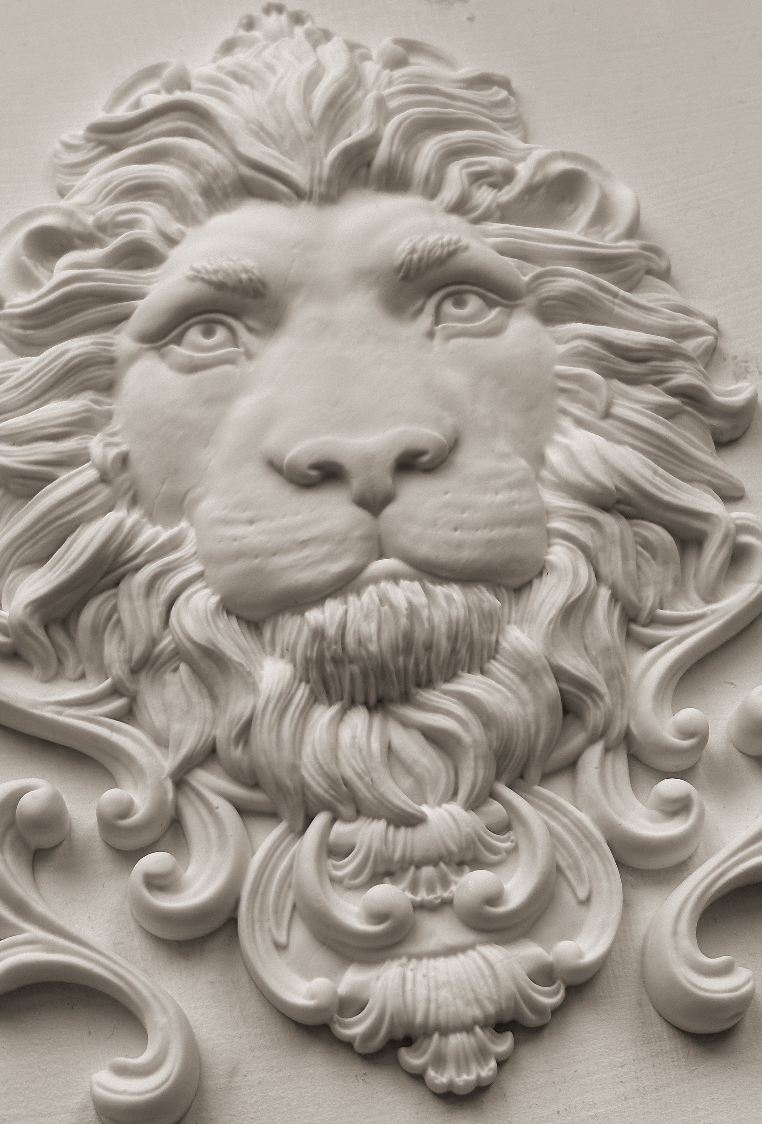 Leonidas 5x7 IOD Mould™