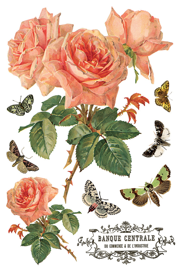 By Any Other Name  IOD Transfer 8x12 Pad™