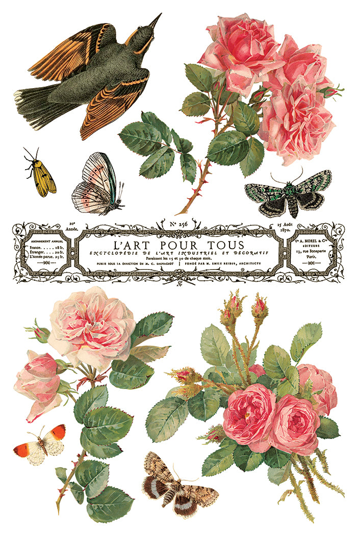 By Any Other Name  IOD Transfer 8x12 Pad™
