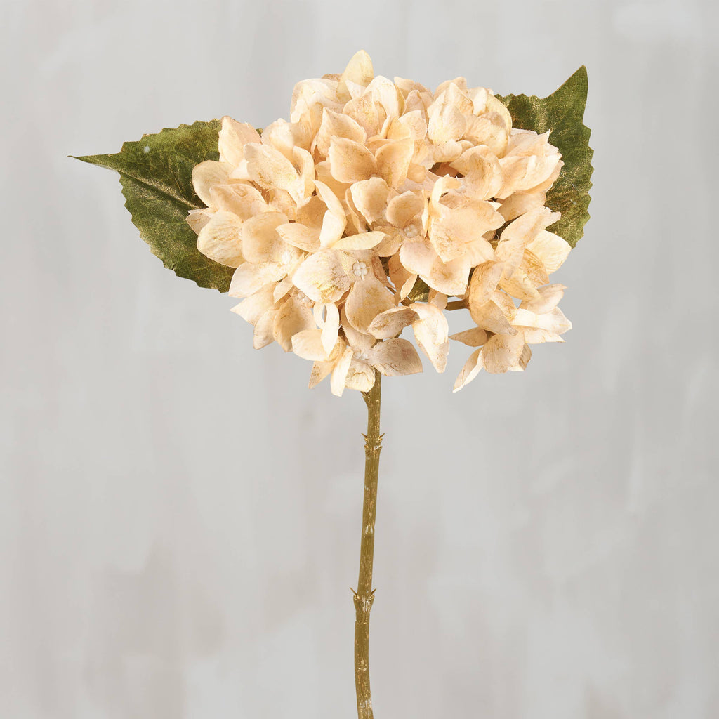 Cream Hydrangea Floral Pick